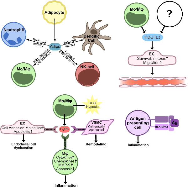 Leukocyte Gene Expression in Post-Thrombotic Syndrome. ISTH Academy ...